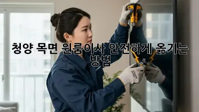 청양 목면 원룸이사? 안전하게 옮기는 방법!
